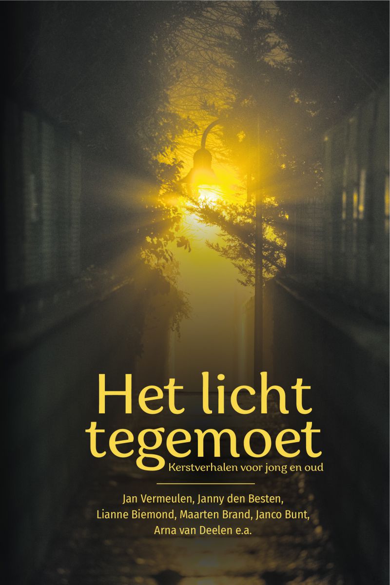 Het licht tegemoet